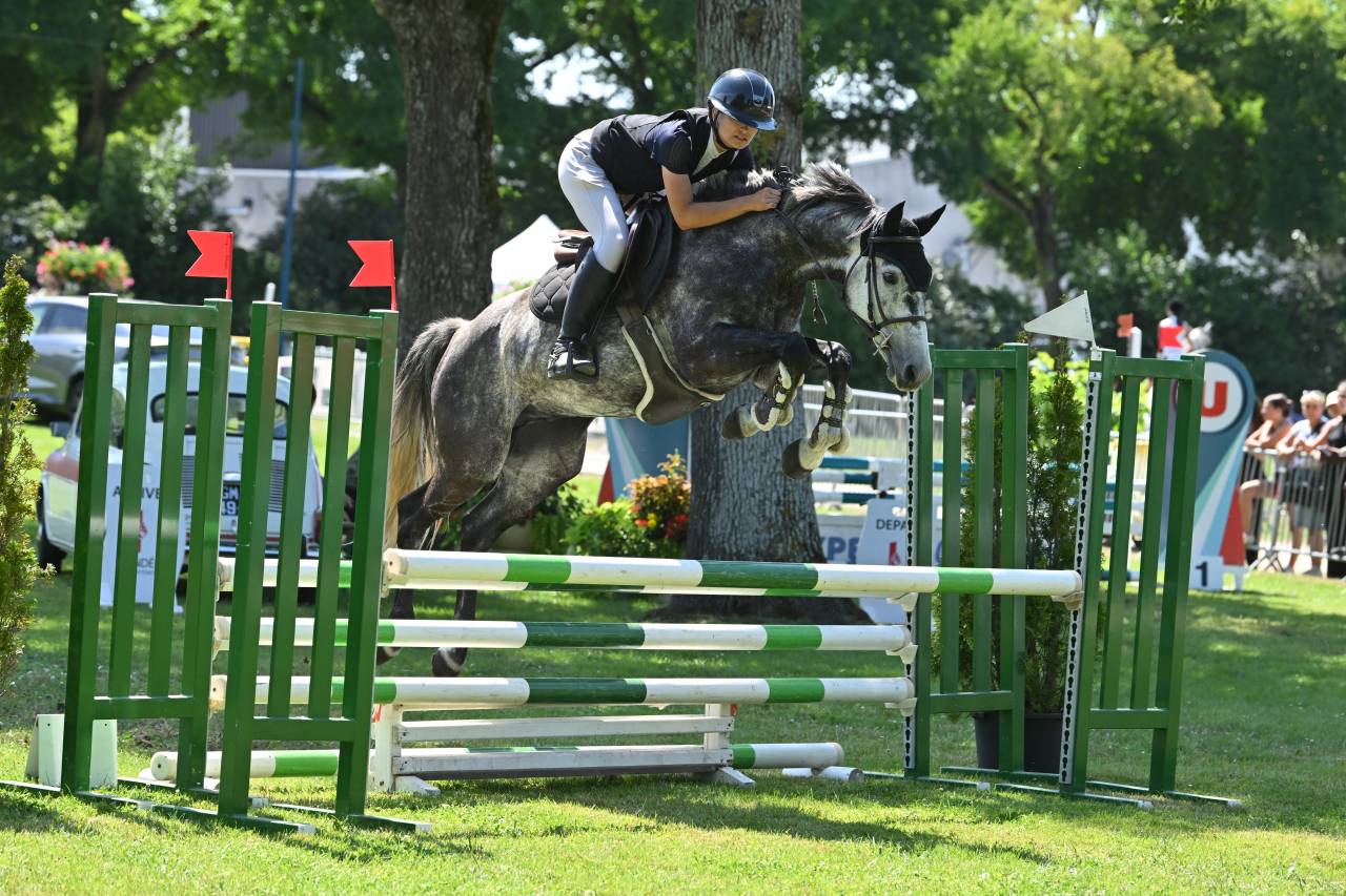 Castrone Origine non conosciuta  In vendita 2017 Grigio