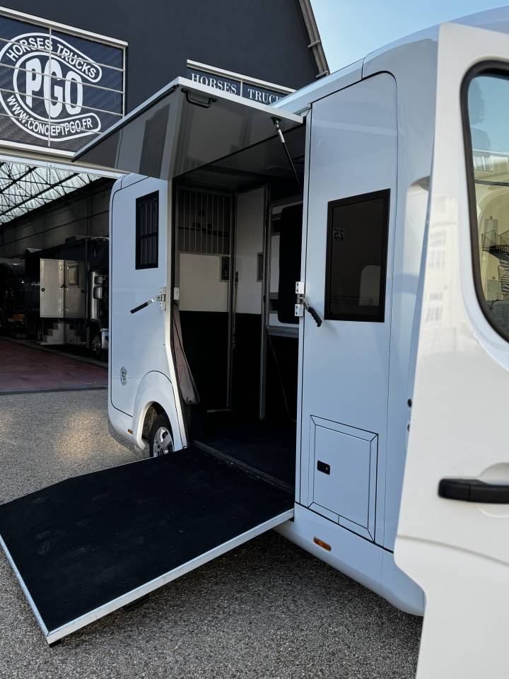 Van per Cavalli AKX AKX 5 places  2023 Occasione