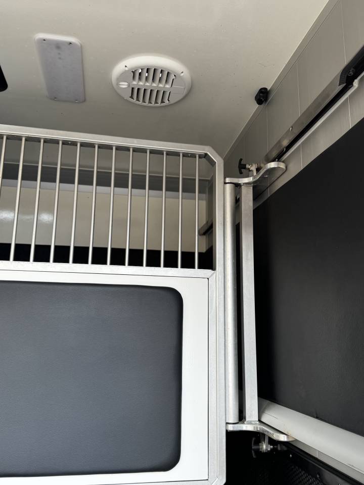 Van per Cavalli AKX AKX 5 places  2023 Occasione