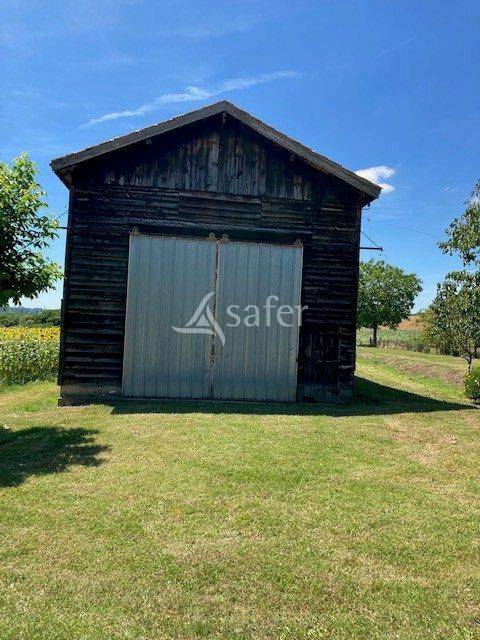 Azienda orticoltrice In vendita Lot-et-Garonne