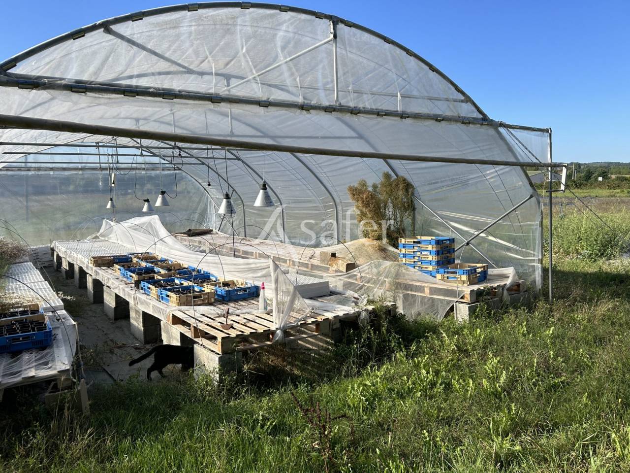 Azienda orticoltrice In vendita Lot-et-Garonne