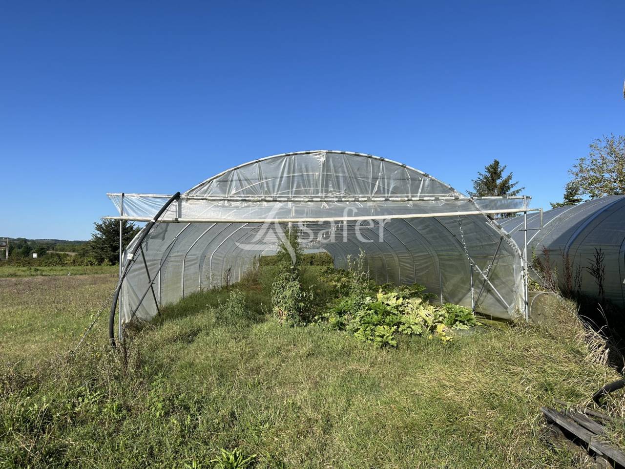 Azienda orticoltrice In vendita Lot-et-Garonne