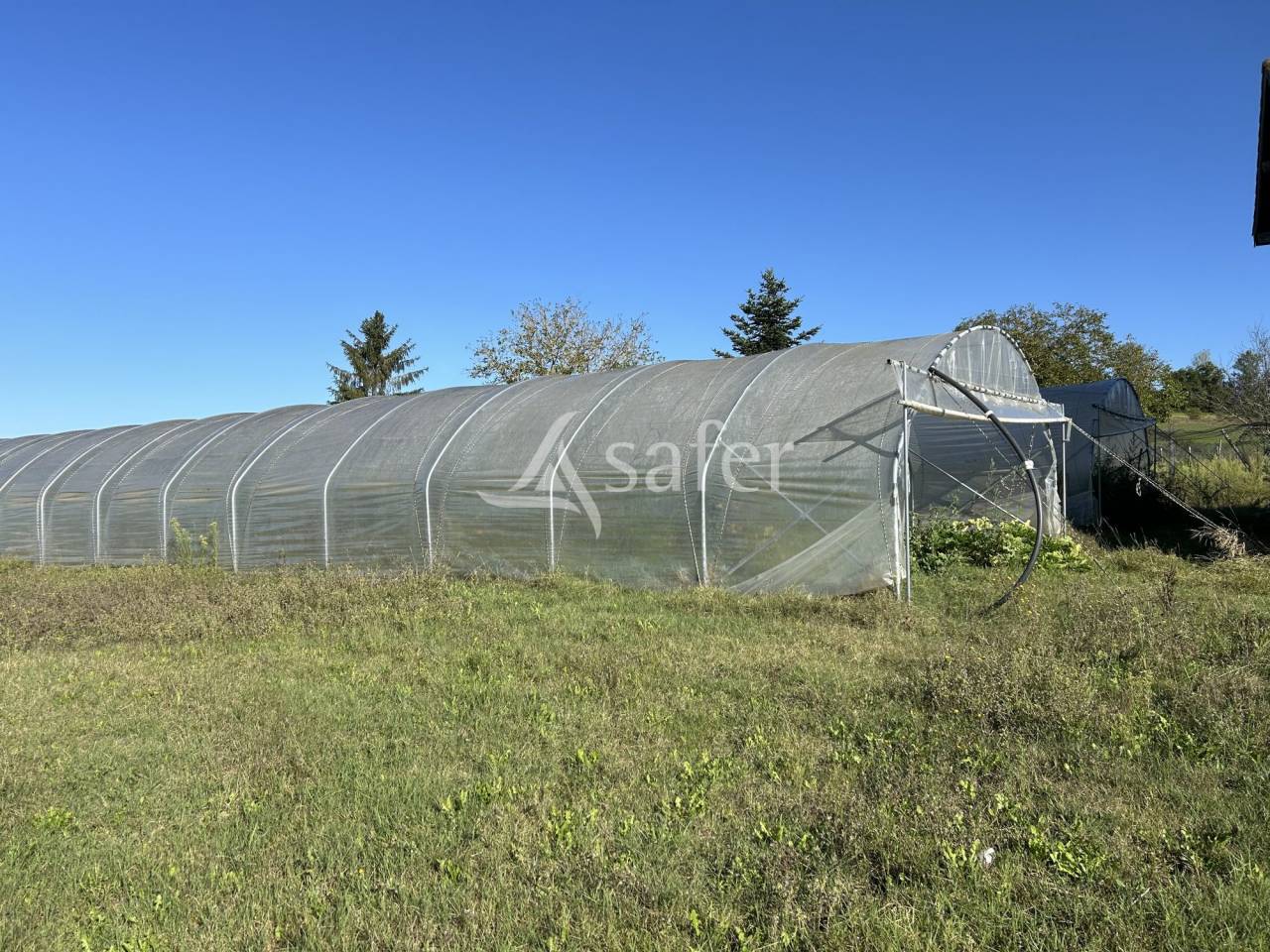 Azienda orticoltrice In vendita Lot-et-Garonne