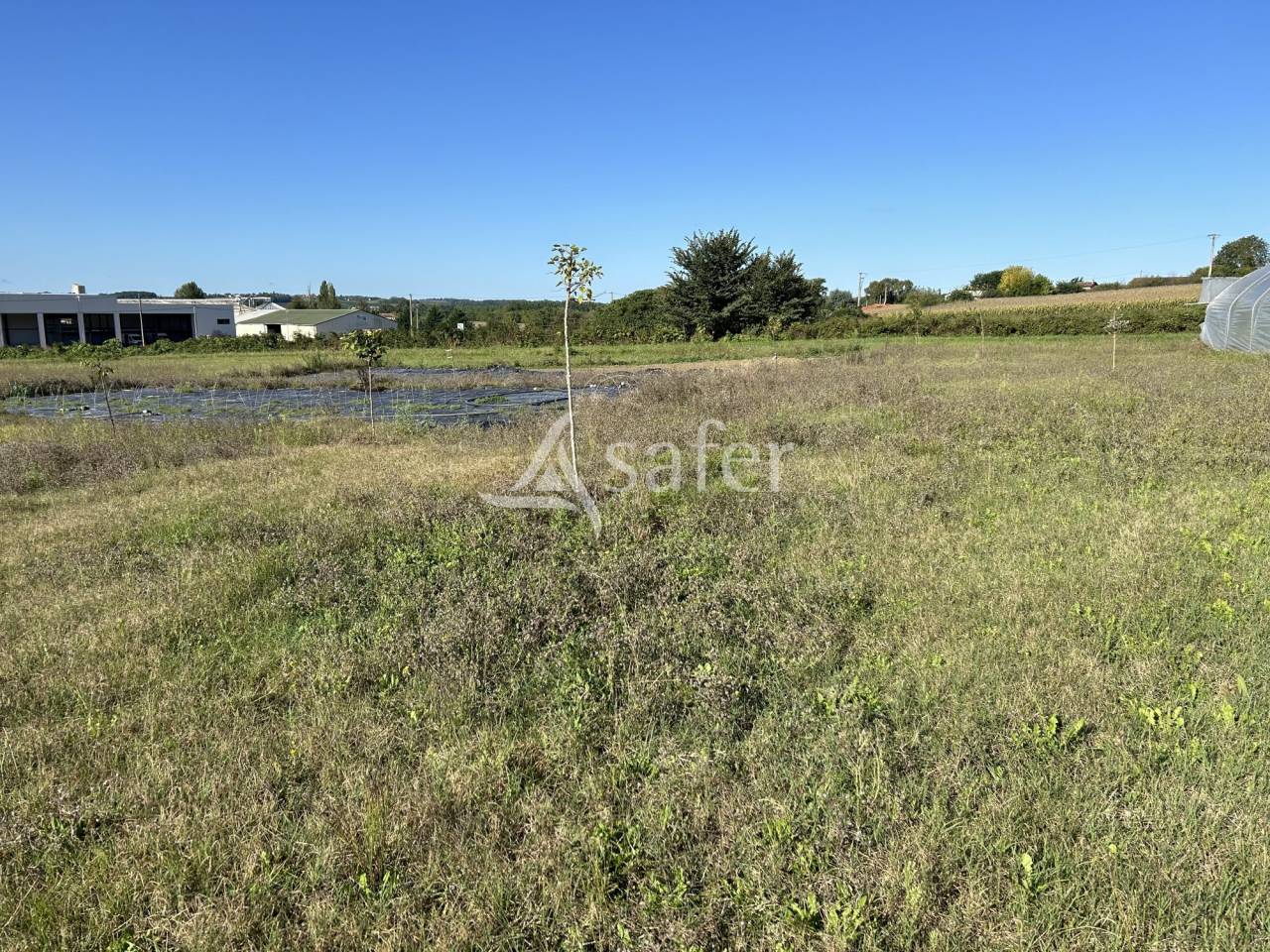 Azienda orticoltrice In vendita Lot-et-Garonne