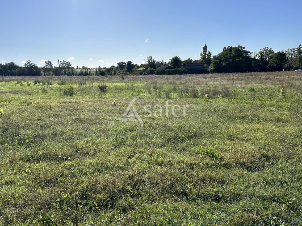 Azienda orticoltrice In vendita Lot-et-Garonne