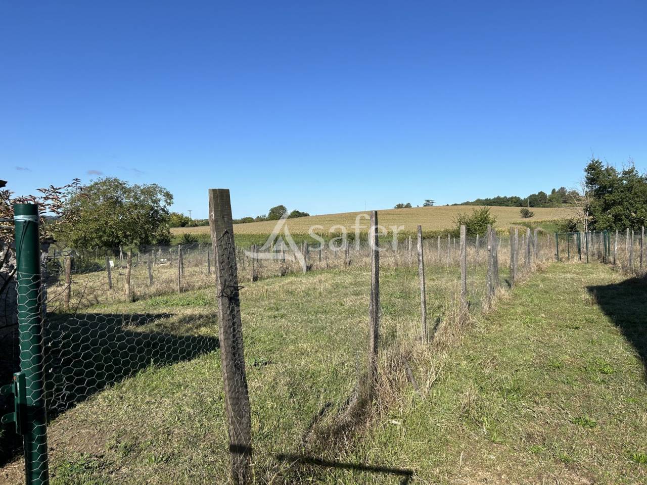 Azienda orticoltrice In vendita Lot-et-Garonne