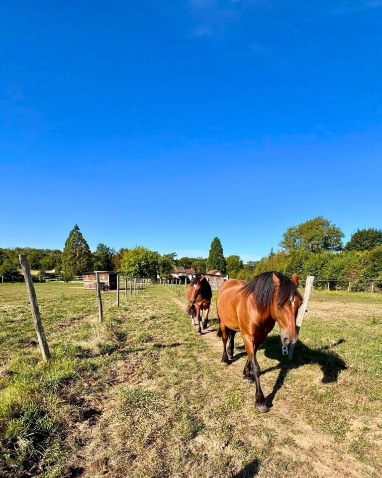 Proprietà equestre In vendita Isère