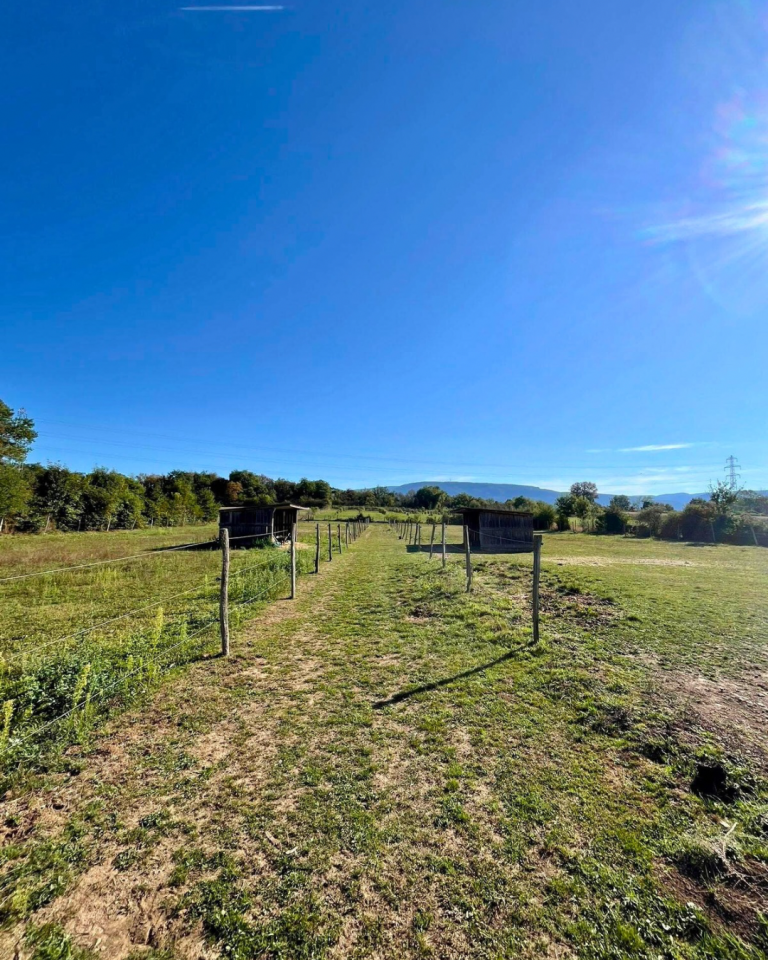 Proprietà equestre In vendita Isère