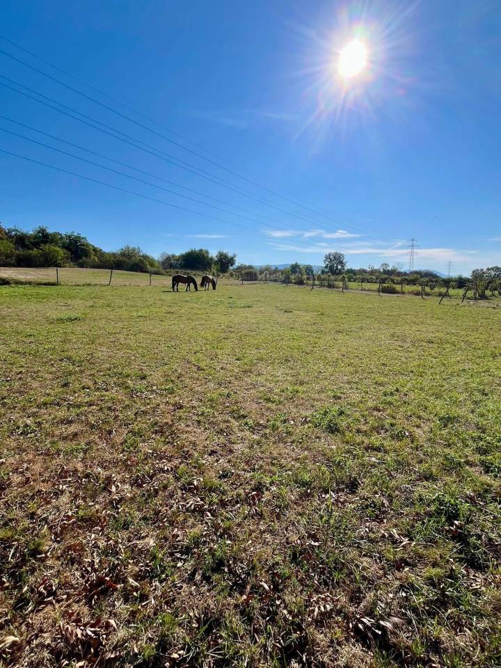 Proprietà equestre In vendita Isère