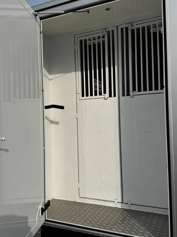 Van per Cavalli Renault Renault Master 2021 Occasione