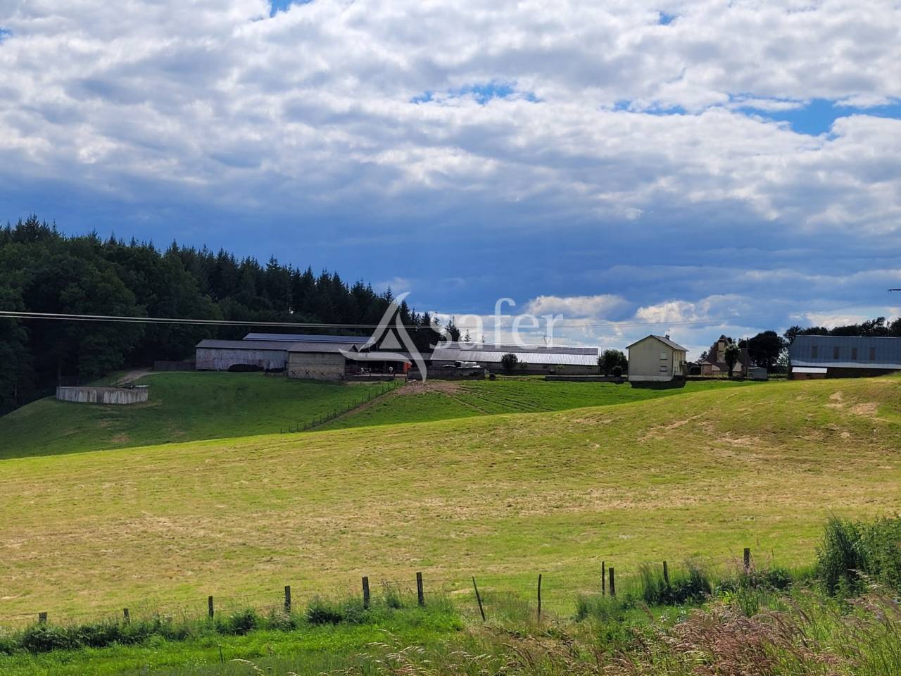 Azienda lattaia In vendita Cantal