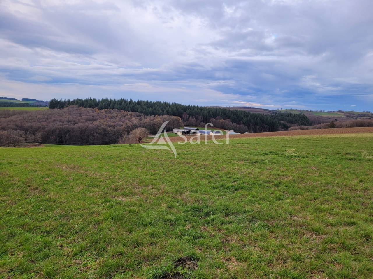 Azienda lattaia In vendita Cantal