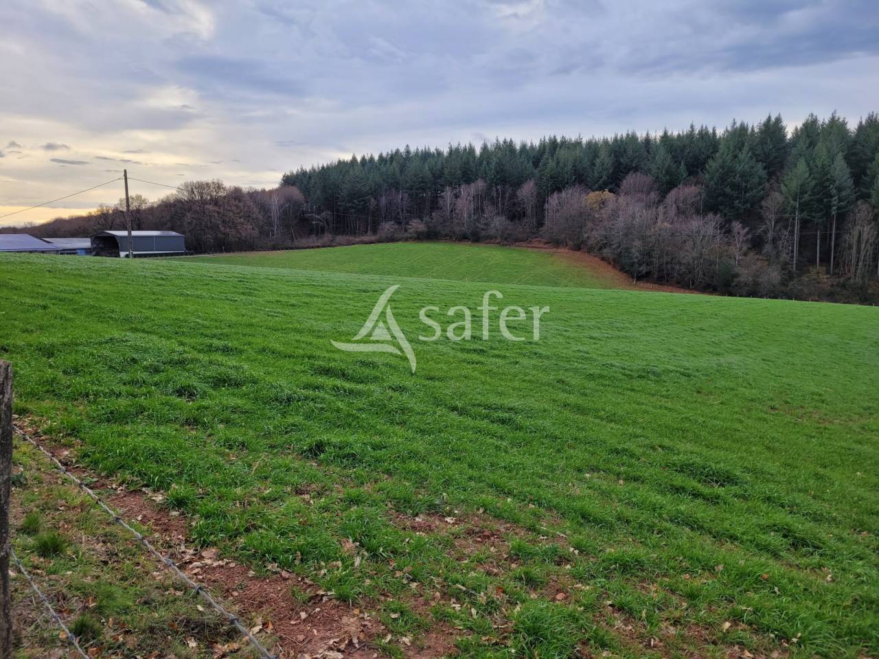 Azienda lattaia In vendita Cantal
