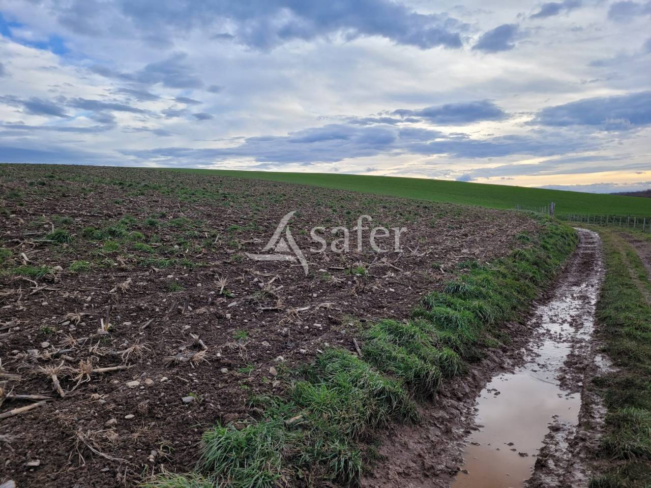 Azienda lattaia In vendita Cantal
