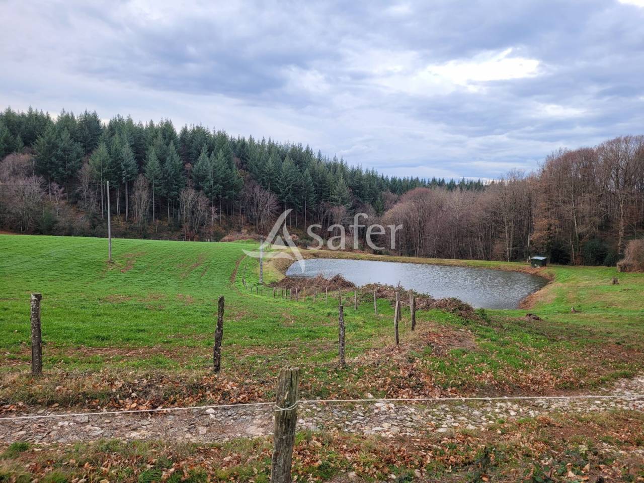 Azienda lattaia In vendita Cantal