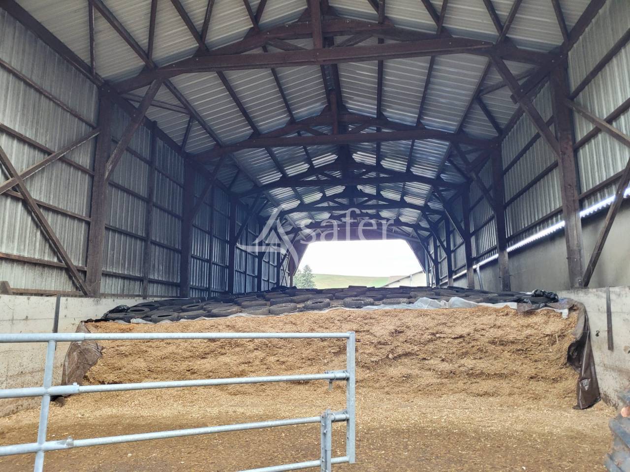 Azienda lattaia In vendita Cantal