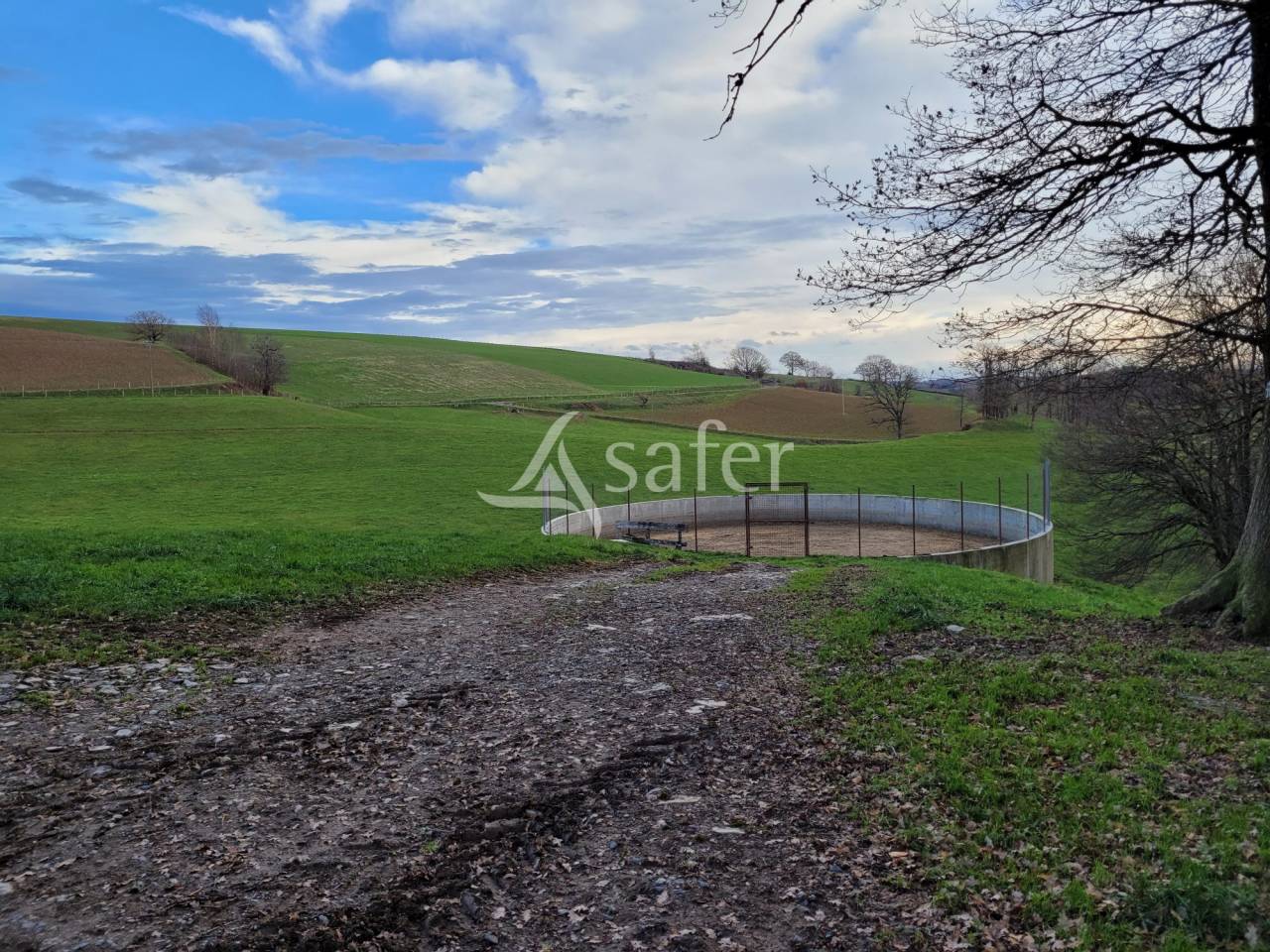 Azienda lattaia In vendita Cantal