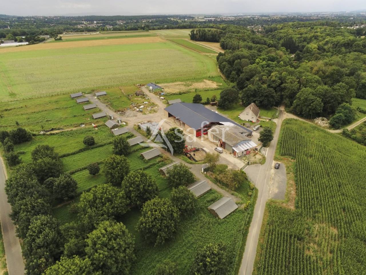 Azienda avicola In vendita Val-d'Oise