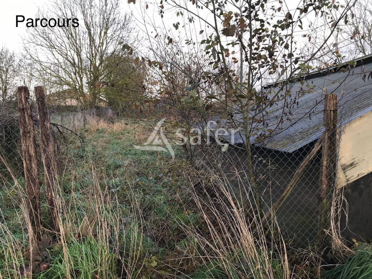 Azienda avicola In vendita Val-d'Oise