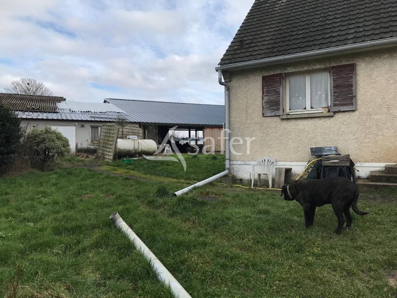 Azienda avicola In vendita Val-d'Oise