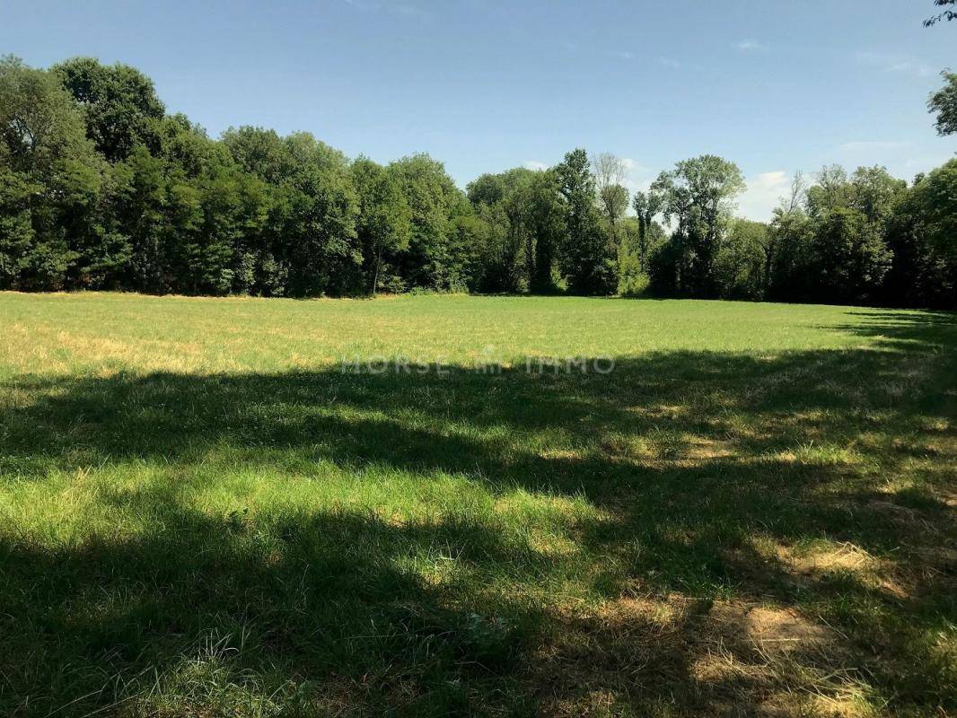 Proprietà equestre In vendita Seine-et-Marne