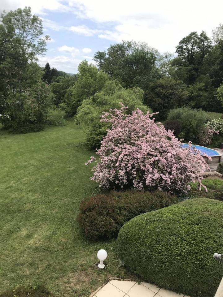 Bella dimora equestre In vendita Haute-Saône