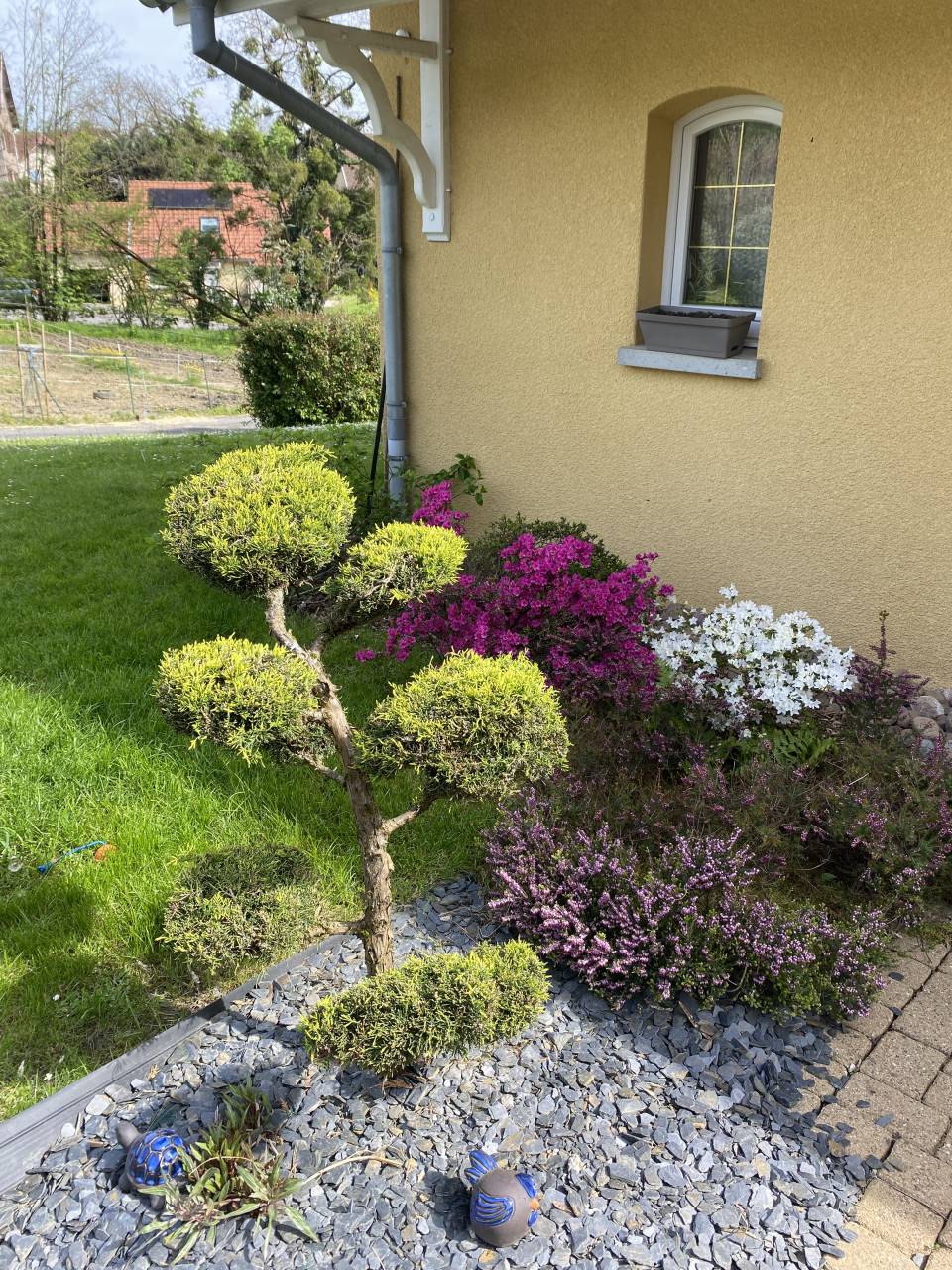 Bella dimora equestre In vendita Haute-Saône