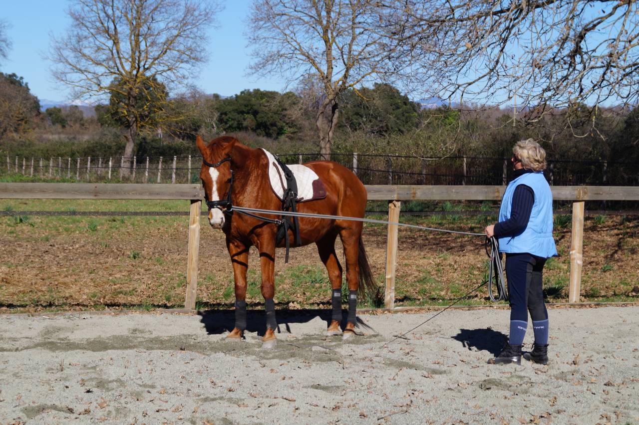 Istruttore di equitazione