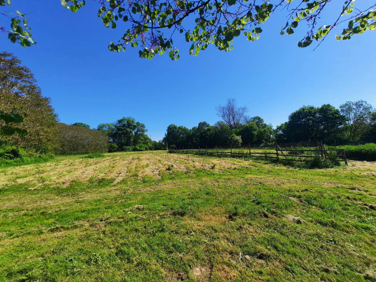 Bella dimora equestre In vendita Charente-Maritime