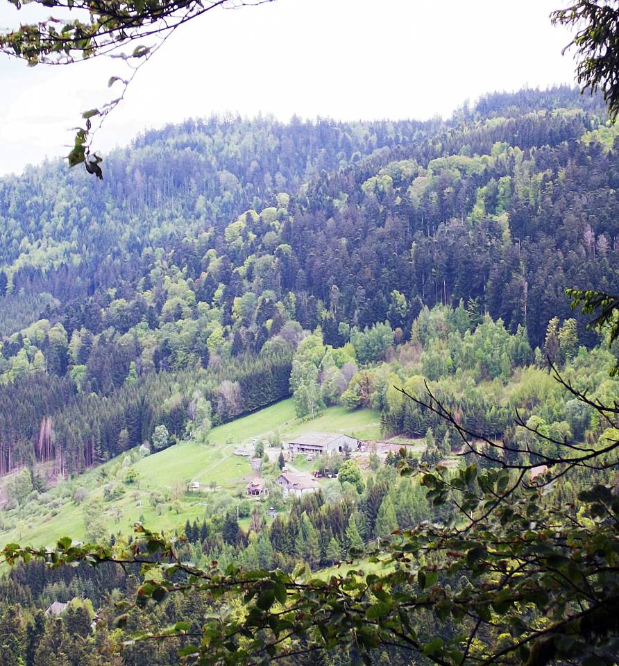 Altro - Altro contratto Altro - Vosges Francia