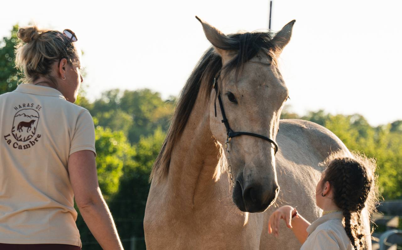 Puledra PRE Andaluso In vendita 2023 Isabella