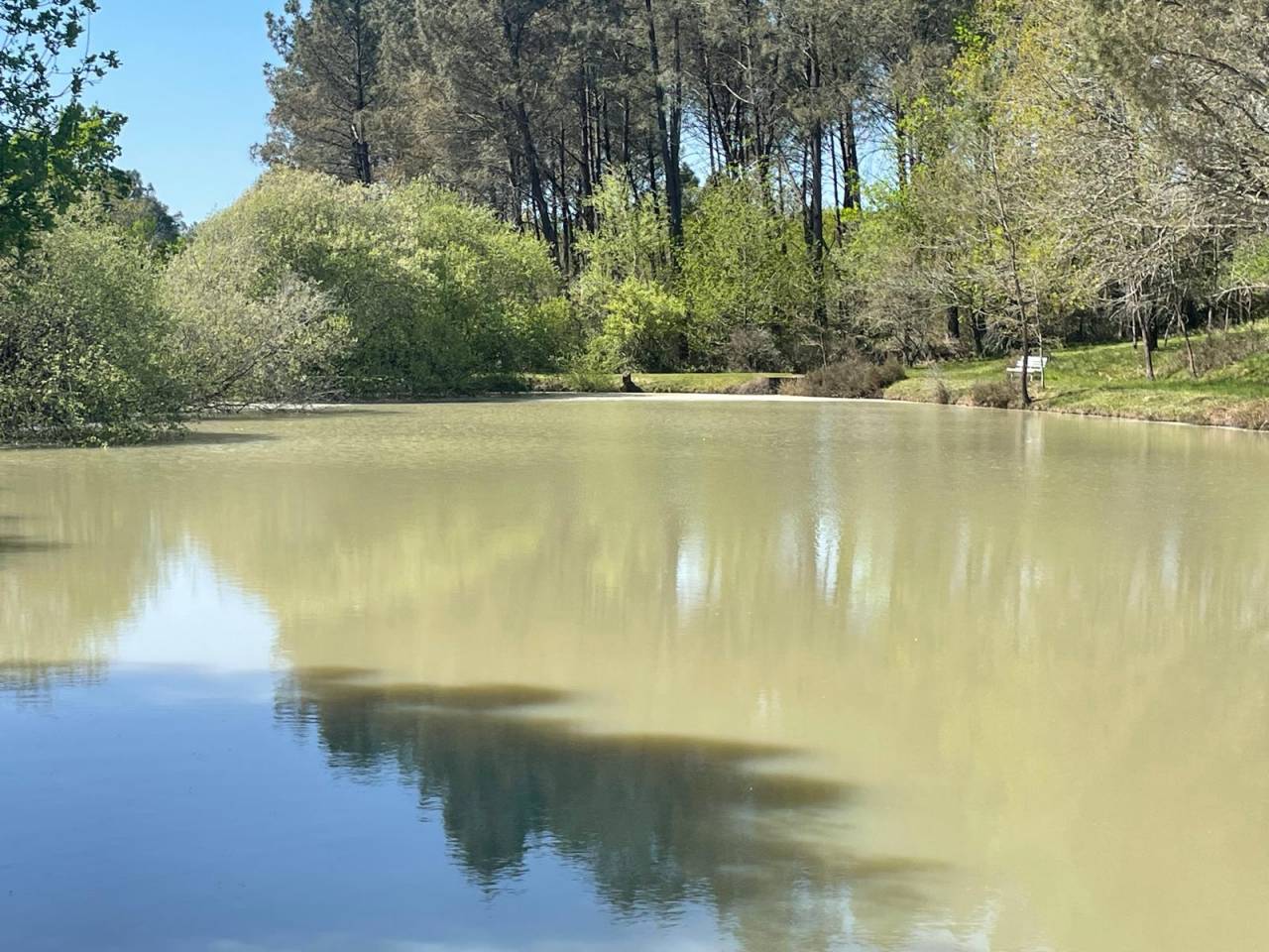 Proprietà di equiturismo In vendita Dordogne