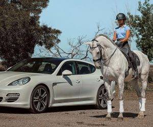 Castrone Lusitano In vendita 2013 Grigio