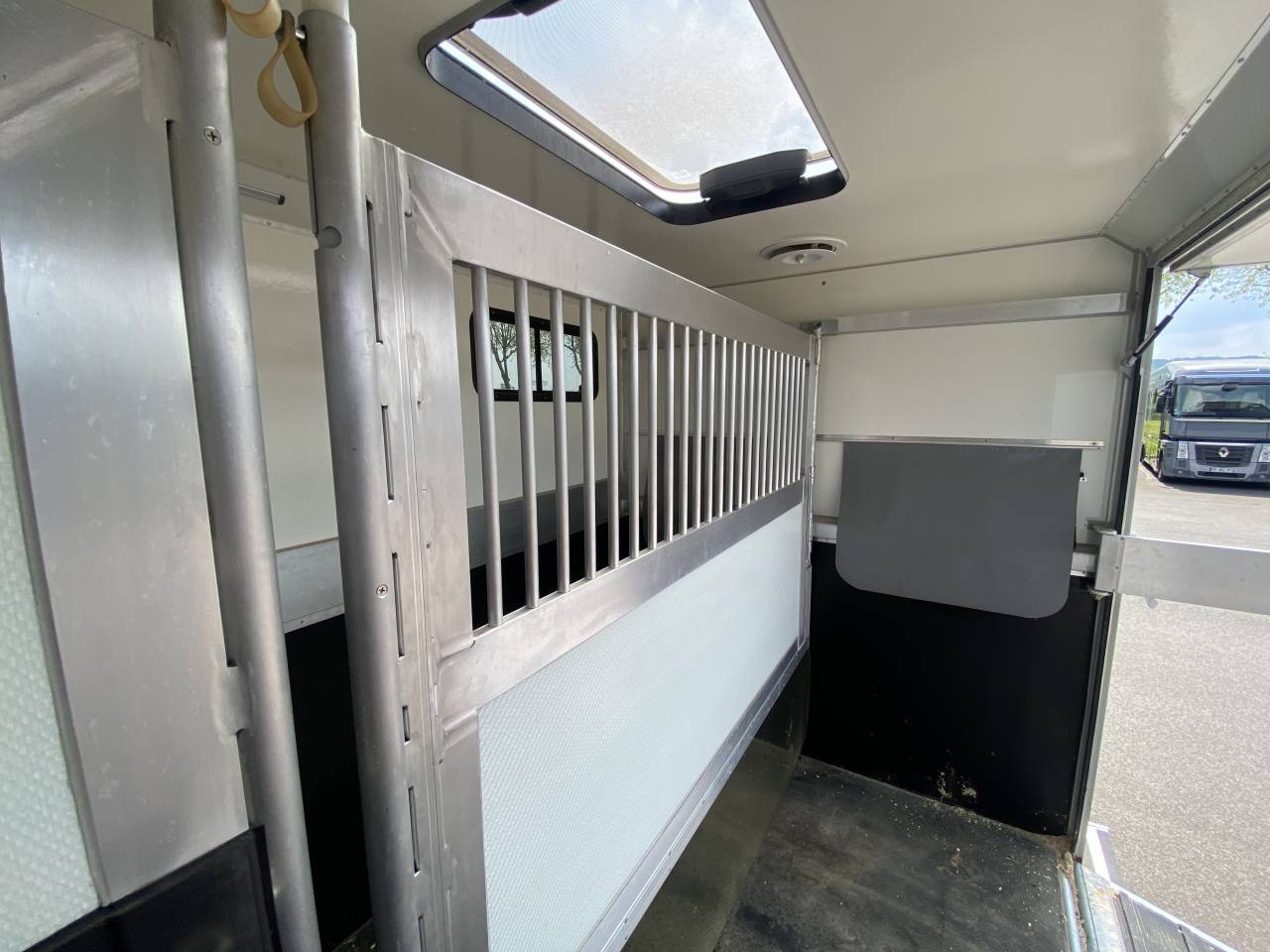 Van per Cavalli Anka  2022 Occasione