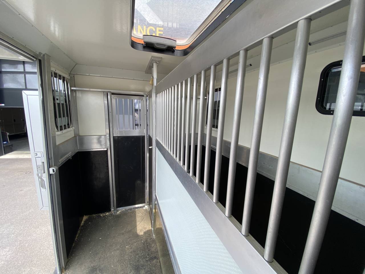 Van per Cavalli Anka  2022 Occasione