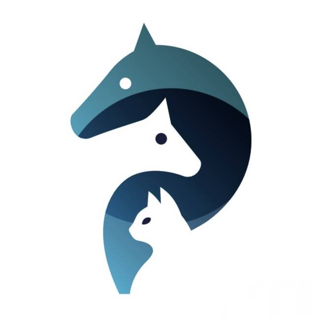 Pensione per cavalli - Parco Rivaverde