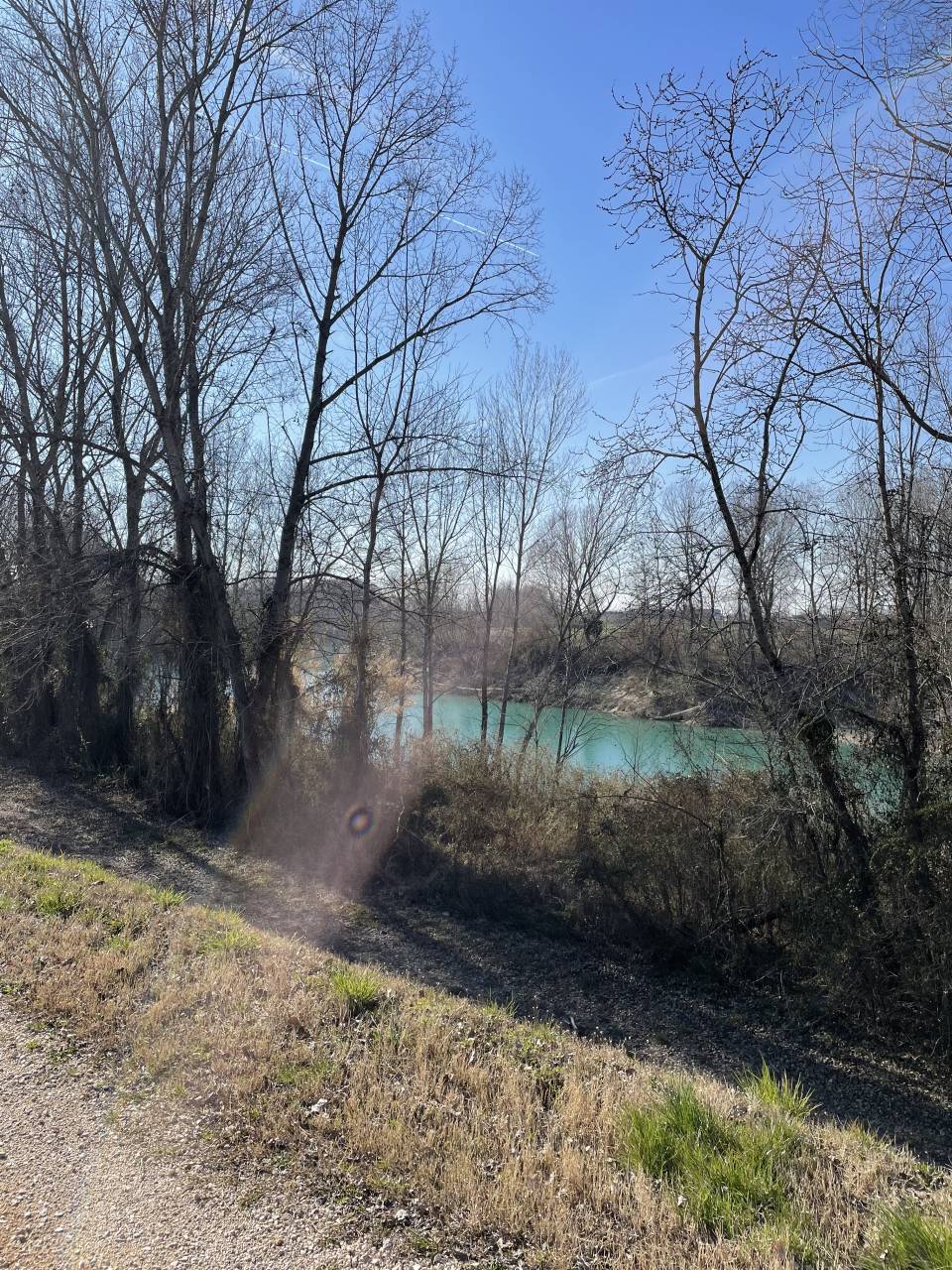 Pensione per cavalli - Parco Rivaverde