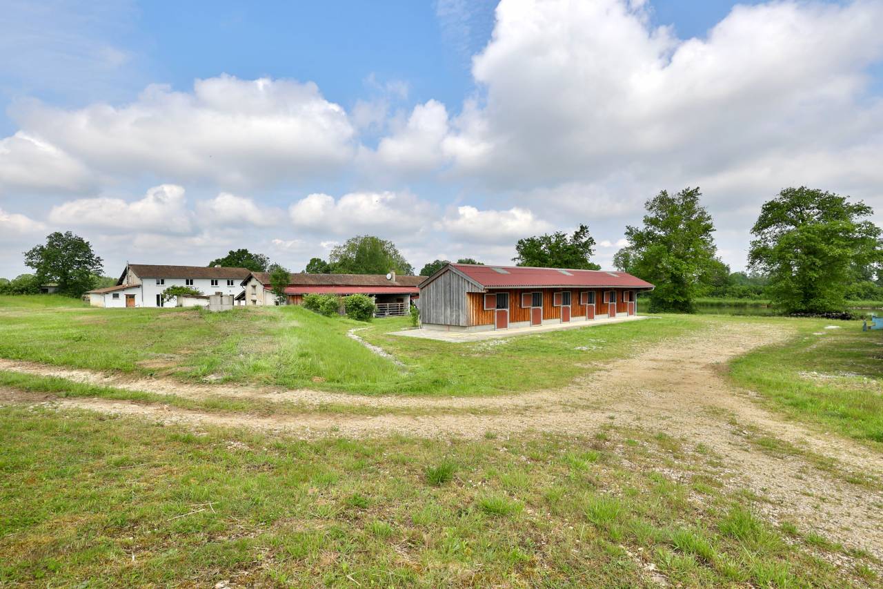 Bella dimora equestre In vendita Ain
