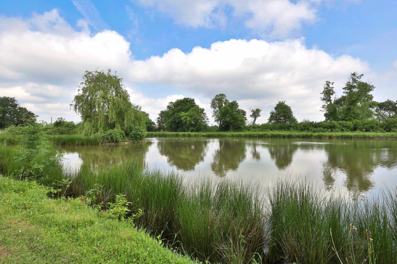 Bella dimora equestre In vendita Ain
