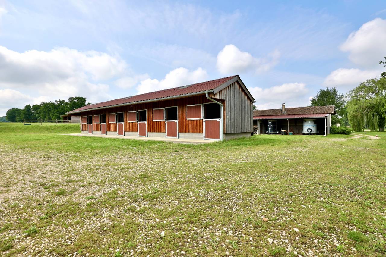 Bella dimora equestre In vendita Ain
