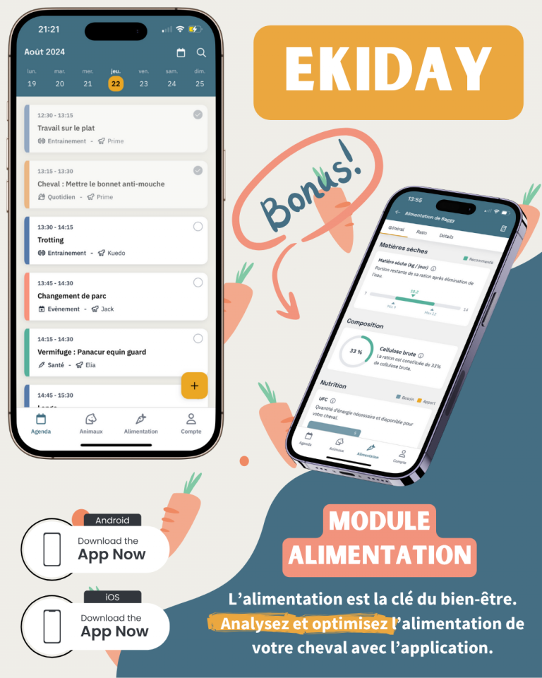 EKIDAY | Informatica, Web > Software equini