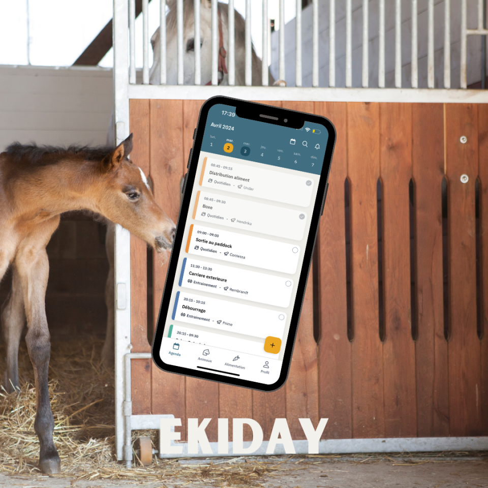 EKIDAY | Informatica, Web > Software equini