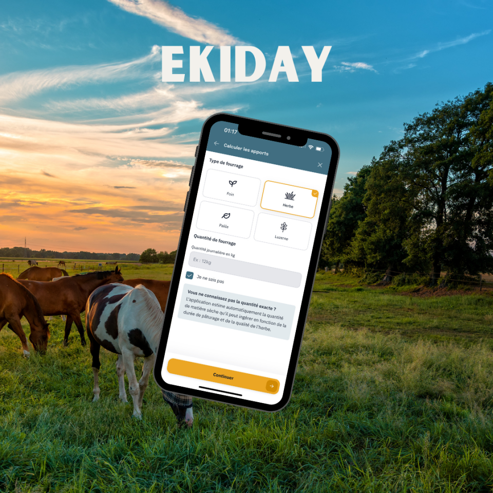 EKIDAY | Informatica, Web > Software equini