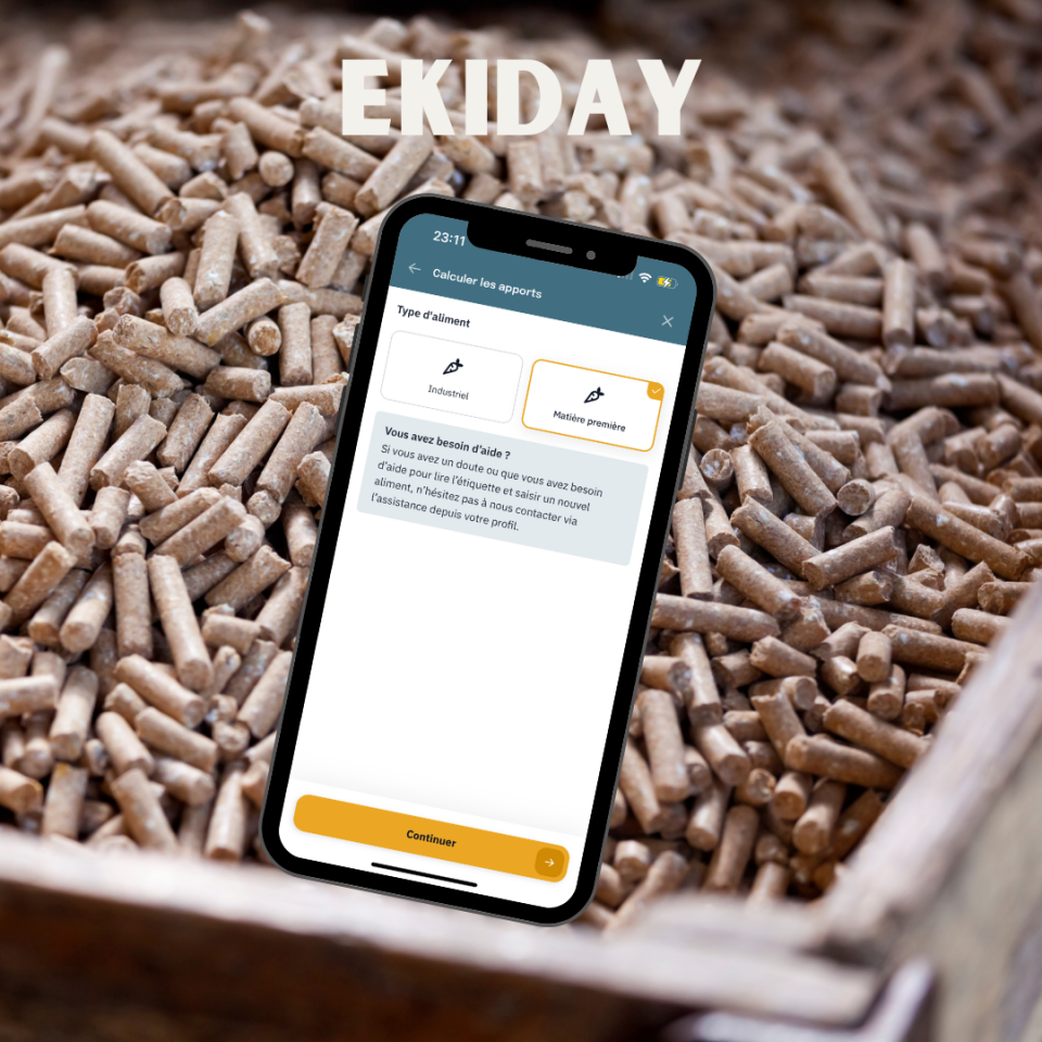 EKIDAY | Informatica, Web > Software equini