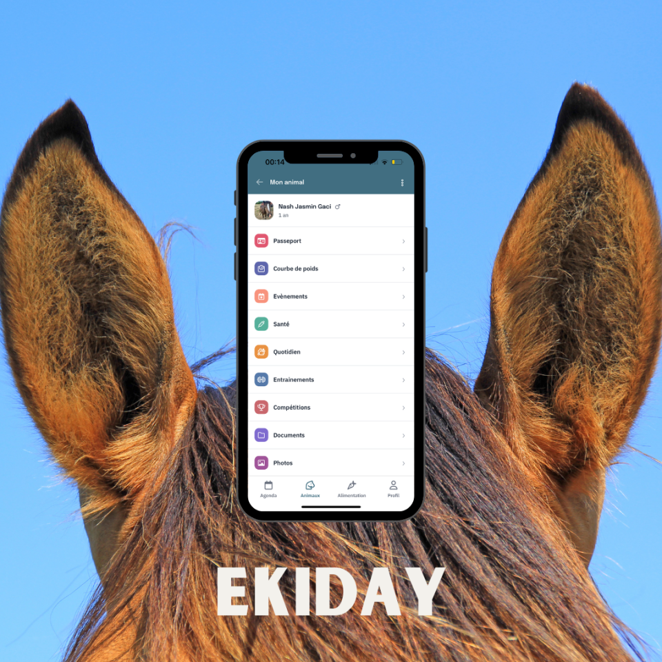 EKIDAY | Informatica, Web > Software equini