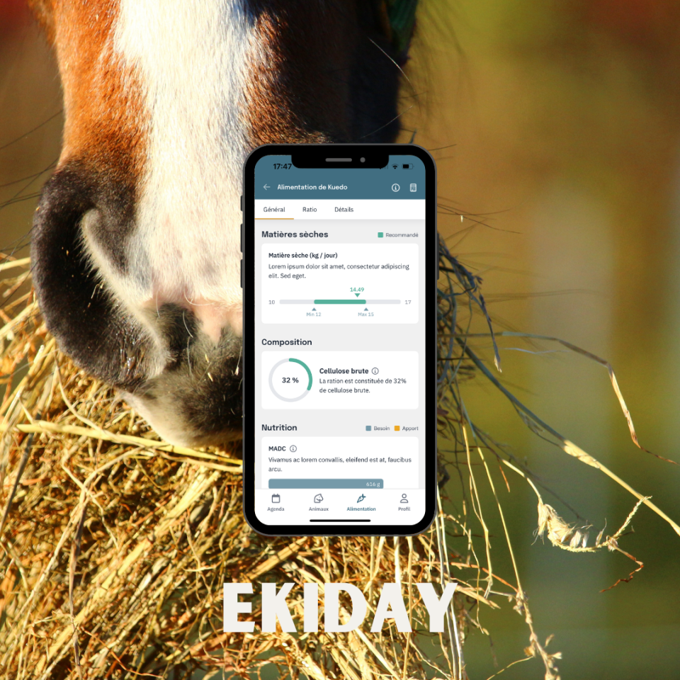 EKIDAY | Informatica, Web > Software equini