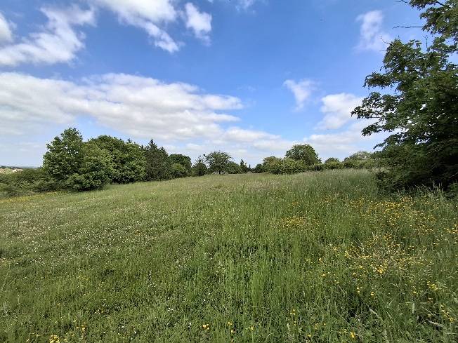 Propriet&agrave; equestre In vendita Yonne