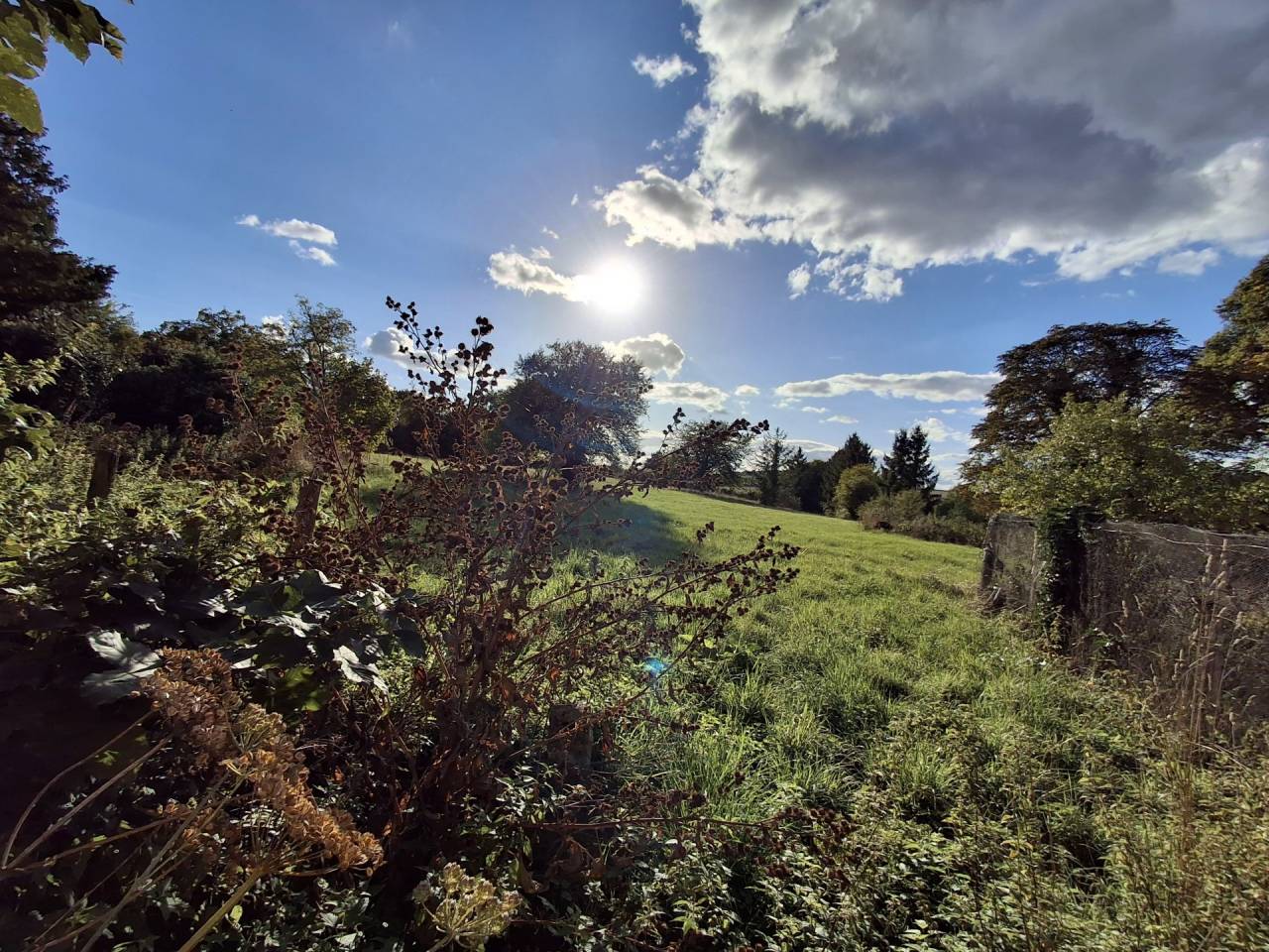 Propriet&agrave; equestre In vendita Yonne