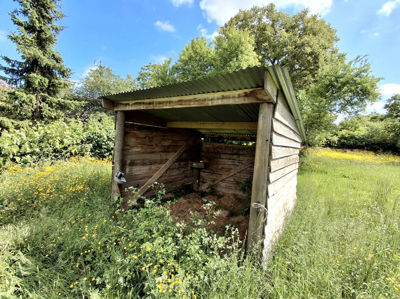 Propriet&agrave; equestre In vendita Yonne