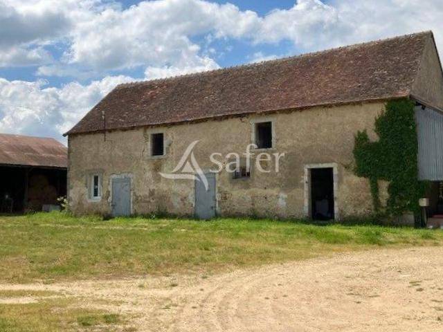 Proprietà equestre In vendita Cher